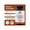 Cúrcuma Curcumina 95% de Luma Nutrition, 90 Cápsulas