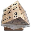 Sudoku Cube Puzzle - A unique twist on the classic
