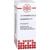 DHU Lycopodium C6 Spreading Balls 10 g Globules