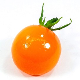 Food Sample Magnet, Mini Tomatoes (Orange), 242 OM