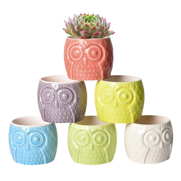 Cuteforyou Succulent Pots,Cute Cartoon Animal Owl Shaped Ceramic Succulent Cactus
