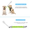 MATTISAM Dog Seat Belt for Bike Basket, Retractable Bicycle Dog