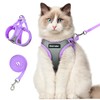 Dooradar Cat Harness and Leash Set, Escape Proof Lightweight Kitten