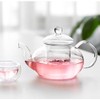 TAMUME 600ML Klassische Art-Glasteekanne mit Infuser Glassieb und Kappe