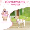 Eyein Small Dog Harness and Lead Set - Soft Mesh