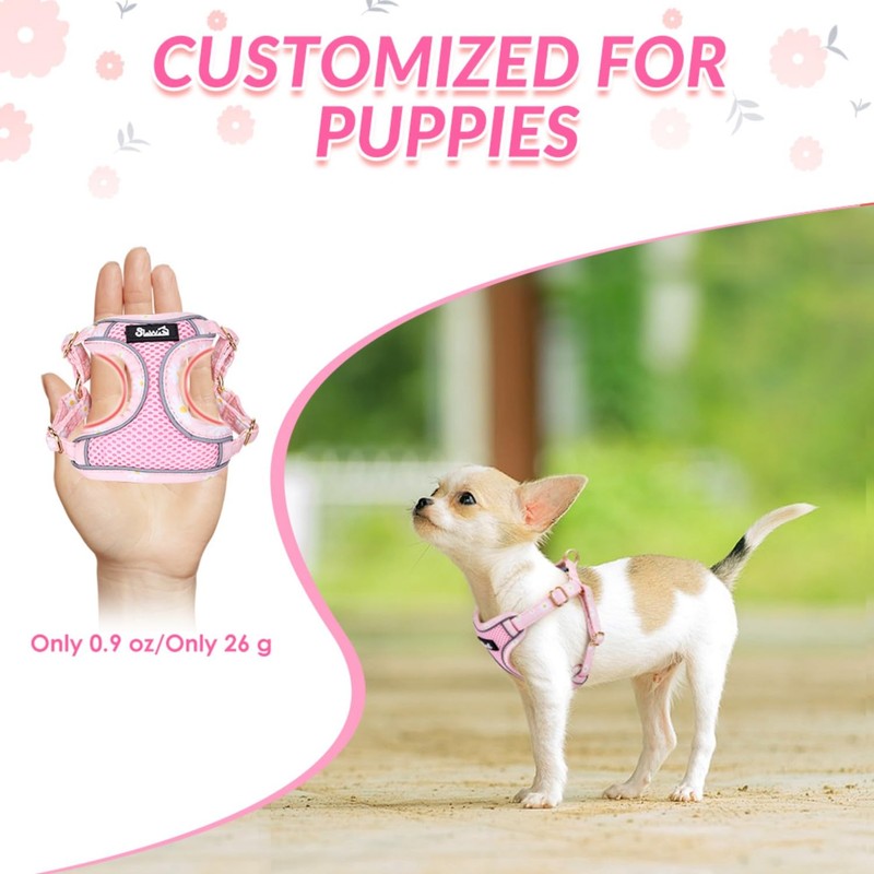 Eyein Small Dog Harness and Lead Set - Soft Mesh