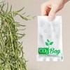 CO2Bag For vigorous plant growth - improves taste, colour and