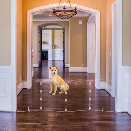 Clear freestanding Dog gate for Indoor use,Pet Gates for doorways no Drilling,Acrylic Foldable Dog gate for Stairs with Support feet (4 Panel - 80''W x 23''H)