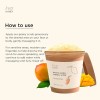 Hey Honey Skincare Mango Herbal Mineral Scrub Exfoliante De