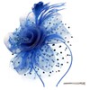 Fascinators for Women,Women Accessories,Royal Blue Fascinator for Women Tea Party