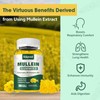 2 Pack Mullein Gummies - Mullein Leaf Extract with Bromelain,