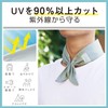 Elecom HCC-SC21BU Cool Scarf, Contact Cool, Heat Prevention Goods, Ice
