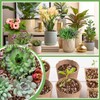 Coco Coir Perlite Mix - Retain Moisture, Improve Drainage &