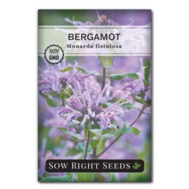 Sow Right Seeds - Bergamot (Bee Balm) Flower Seeds for Planting - Beautiful Flowers to Plant in Your Home Garden - Non-GMO Heirloom Packet with Instructions - Native Wildflower and Medicinal Herb (1)
