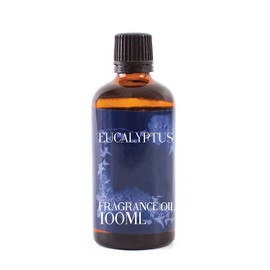 Mystic Moments | Eucalyptus Fragrance Oil - 100ml - Perfect for Soaps, Candles, Bath Bombs, Oil Burners, Diffusers and Skin & Hair Care Items