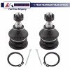 Unbranded Front Lower Ball Joints for Hyundai Elantra Tiburon Accent