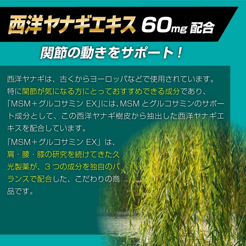 Hisakari MSM + Glucosamine EX