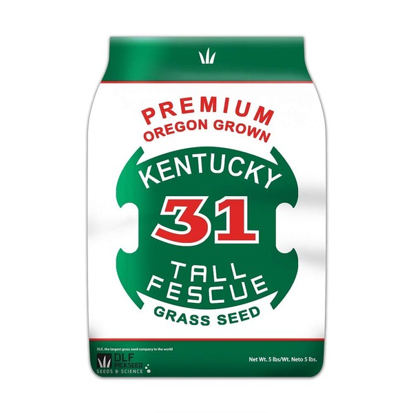 Premium Oregon Grown Kentucky 31 Tall Fescue Grass Seed (5 LBS)