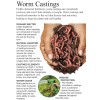 Freedom Worm Farms Organic Red Wiggler Worm Castings Natural Fertilizer