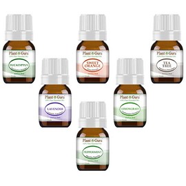 Essential Oil Variety Set Kit - 6 Pack - 100% Pure Therapeutic Grade 5 ml. Set Includes- (Peppermint, Lavender, Sweet Orange, Lemongrass, Eucalyptus & Tea Tree)