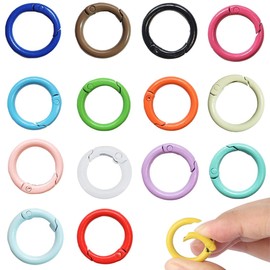 ZILZUFA Pack of 15 Mini Carabiner Hooks Round Carabiner Key Ring 2.4 cm Key Ring Metal Ring Mini Carabiner Key Rings Small Clip Rings Hooks for School Home or Office (15 Colours)
