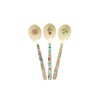 Rice Coffee Melamine Spoon Flower Print Set of 6