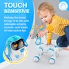 Contixo R3 Robot Dog Kids Toy - Remote Control Robots
