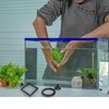SunGrow 2 Betta Feeding Ring, Prevent Water Turbulence from Washing