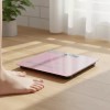 SINAID 라인 체중계 습도계 SINAID Line Scale Hygrometer