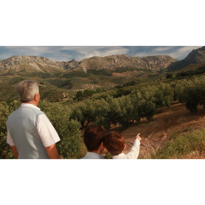 Venta del Barón - Voted The World's Best Olive Oil