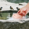 Bird Bath Copper Disk – 1mm Thick 99.9% Pure Copper