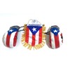 Puerto Rico window hanging car flag and boxing glove set
