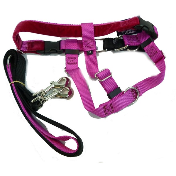 2 Hounds Design Freedom No Pull Dog Harness | Adjustable