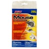 Glue Mouse Board (Set of 4) [Set of 3]
