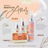 Serum Facial Hidratante Cuidado Mas Profundo Reparador Rostro Activos Naturales