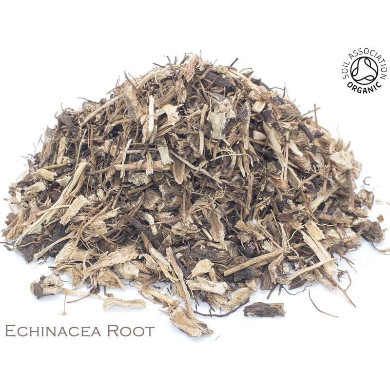 Organic Echinacea Root Pure Herbal Infusion (25 Unbleached Tea Bags