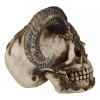 Day of The Dead El Diablo Horned Devil Skull Hell