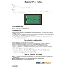 Zieglerworld Bumper Pool Billiards Game Rules & Regulations Poster Laminated 11 x 17