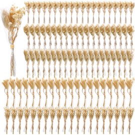 Mini Dried Baby's Breath Flowers Gypsophila Bouquets Natural Branches Dog Tail Bunny Rabbit Tail Dried Bulk Flowers Plants for Vase Home Decoration Photo Props Parties Weddings DIY Craft (100)