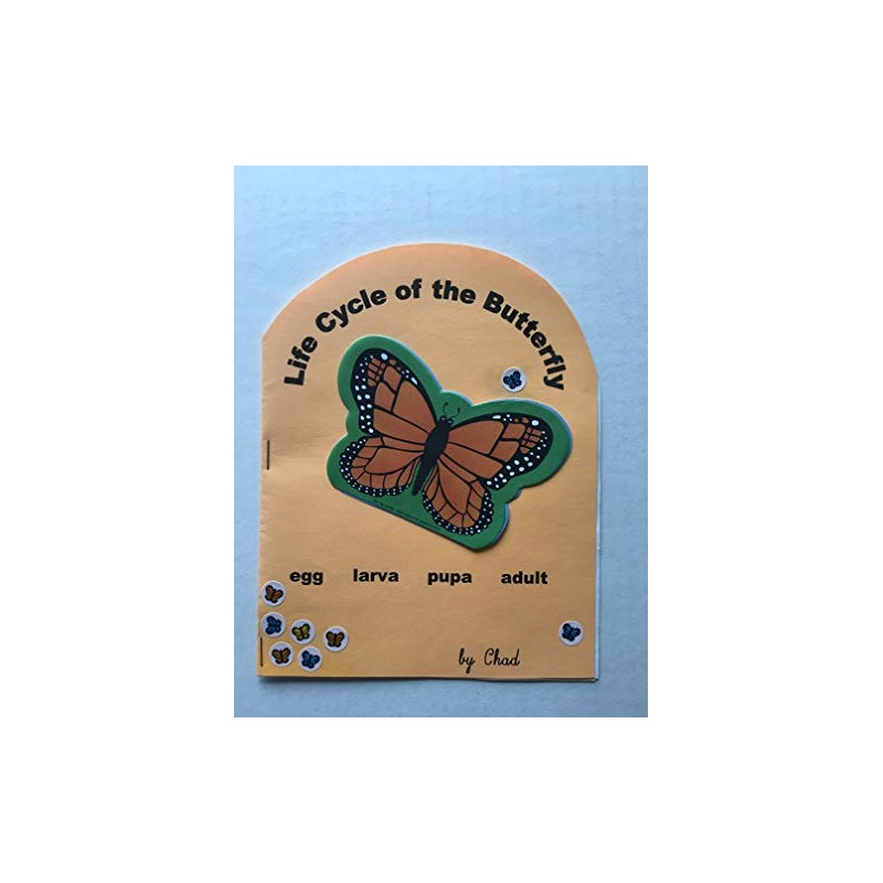 SHAPES ETC. Butterfly Large Notepad-Inspired Classroom/School Crafts Projects, Spring Decorations,