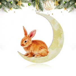 Animals Sitting On The Moon Ornaments for Christmas Tree - Bunny Christmas Ornament - Acrylic Bunny Ornament - Christmas Tree Decor - New Year