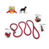 lynxking Dog Leash Slip Rope Lead Leash Strong Heavy Duty
