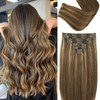 Clip in Hair Extensions Real Human Hair Clip ins 100%