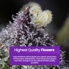 Grow Pro Series - Hydroponic Plant Nutrients and Fertilizer, Water