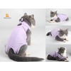 2PCS Cat Cone Collar and Cat Recovery Suit, Anti-Bite, Stop