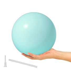 ElwynnLane 9 Inch Exercise Pilates Ball Mini Exercise Barre Ball for Yoga,Stability Exercise Training Gym Anti Burst and Slip Resistant Balls Physical Therapy Improves Balance