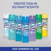 Professional Lysol Disinfectant Spray, Fresh, 19oz