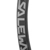 Salewa Ortles Carabiner Black