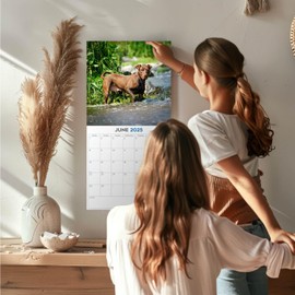 2025 American Pitbull Terrier Calendar - Dog Breed Wall Calendar - 12 x 24 Open - Thick No-Bleed Paper - 14 Month Planner Calendar Organizing & Planning