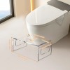 AZM Displays Squat Potty Toilet Foot Stool Clear Acrylic Waterfall